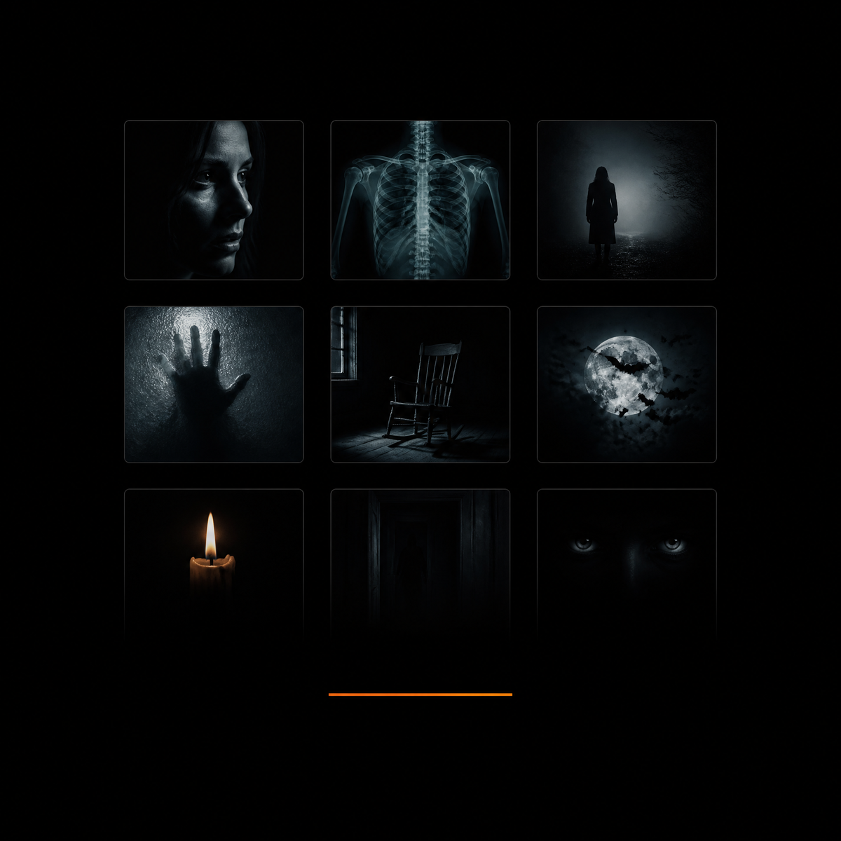AUROVET Vault — 40 projection scenes